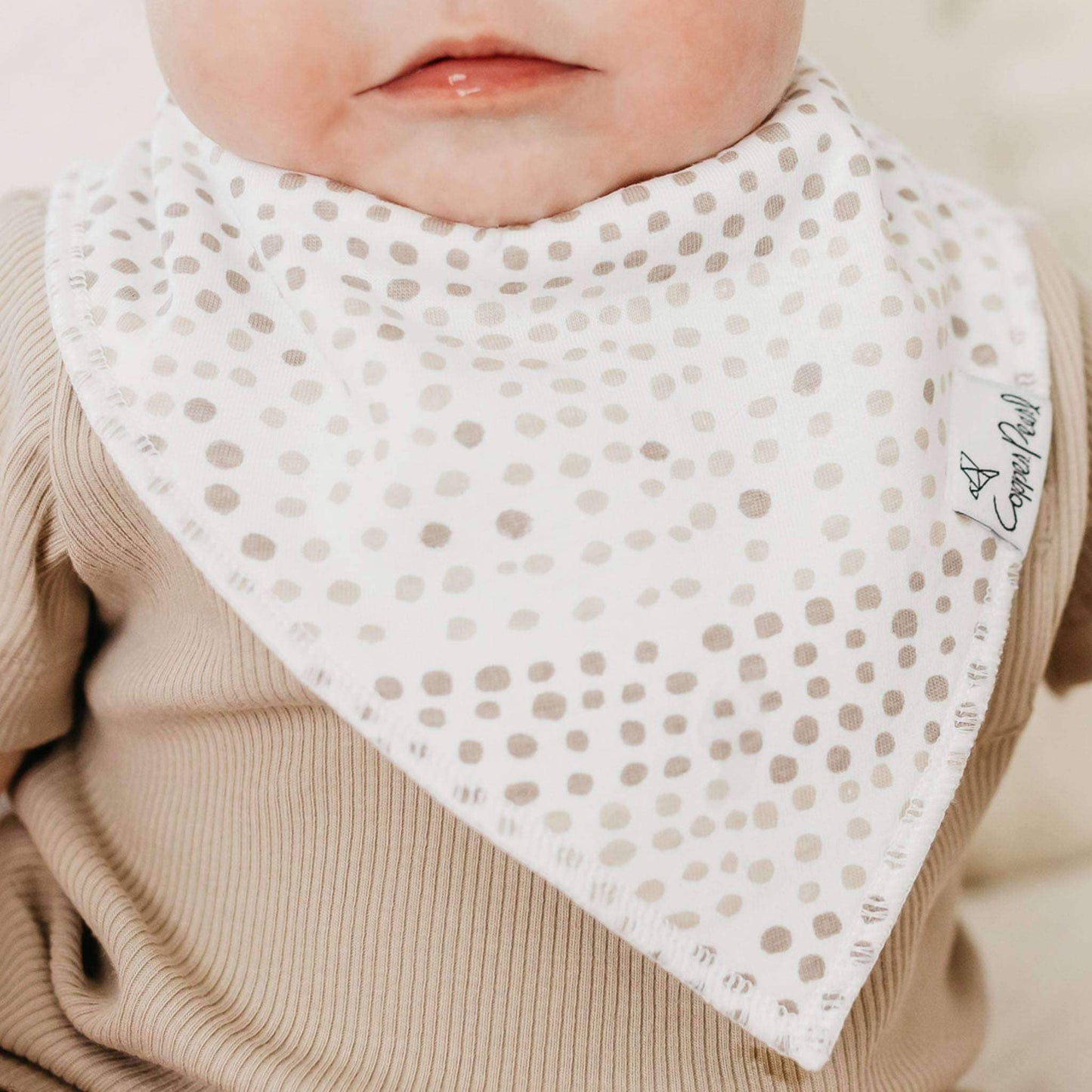 4 Bandana Bibs -Bliss