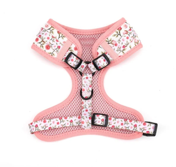 Dog Harness