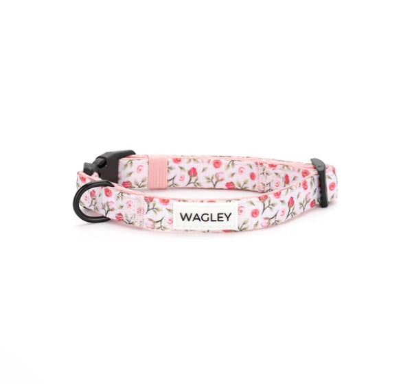 Adjustable Dog Collar