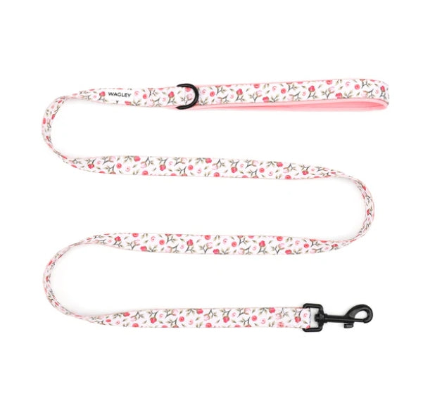 Dog Leash