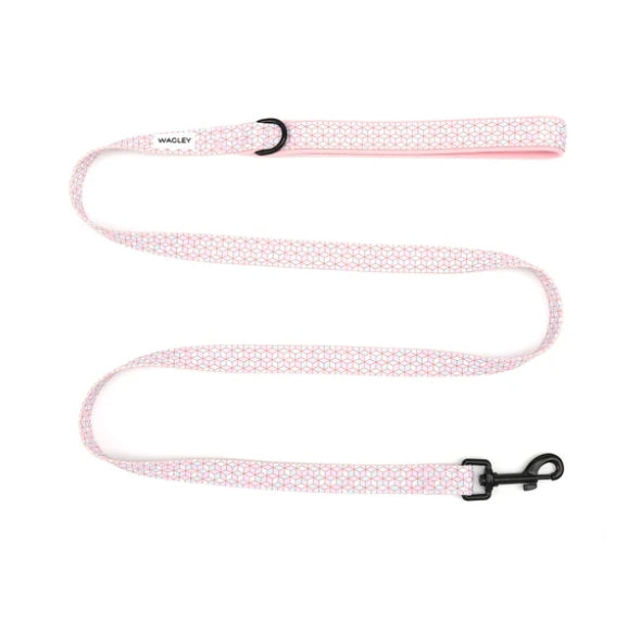 Dog Leash