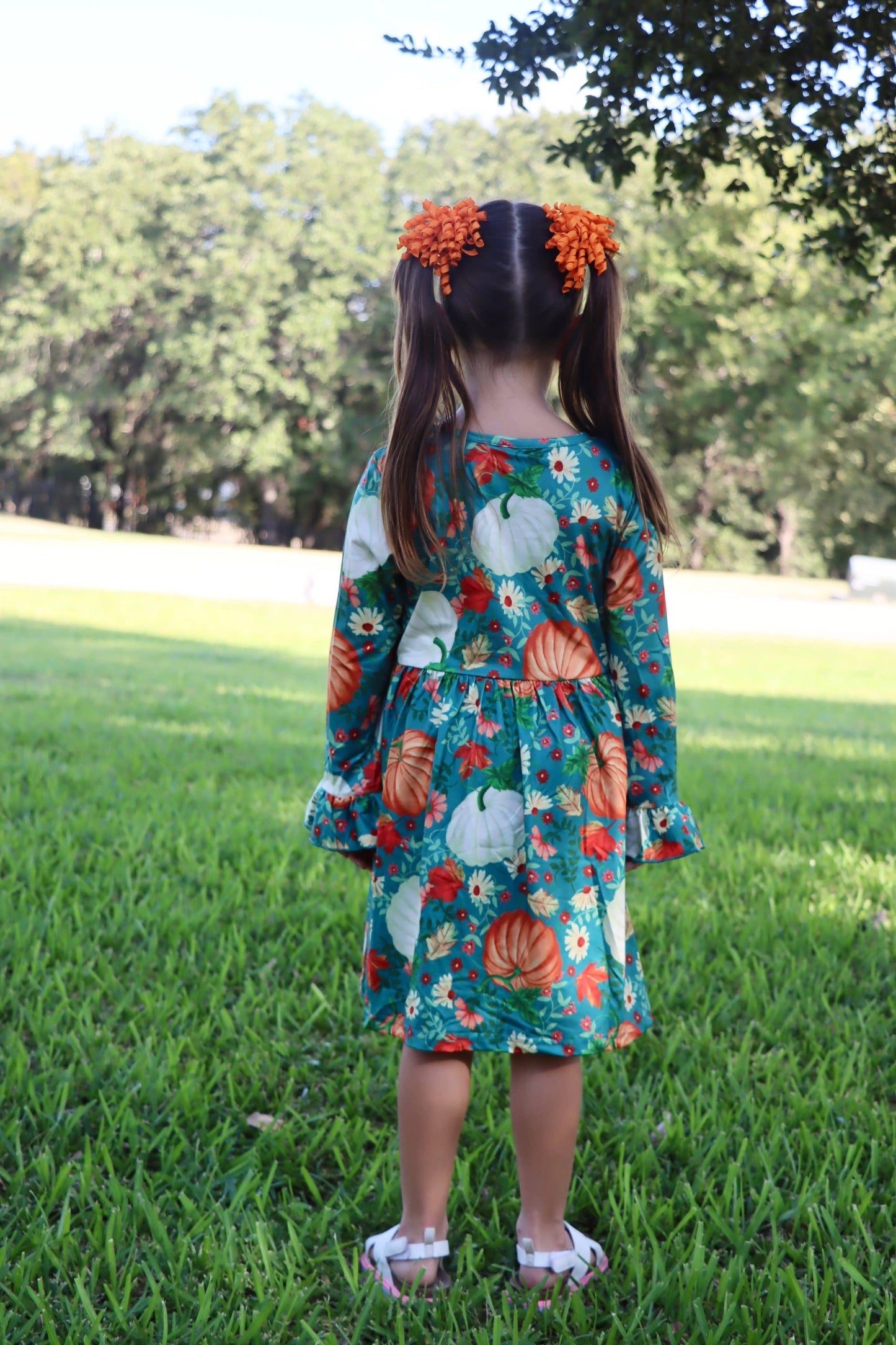 Fall  Pumpkin Print Dress