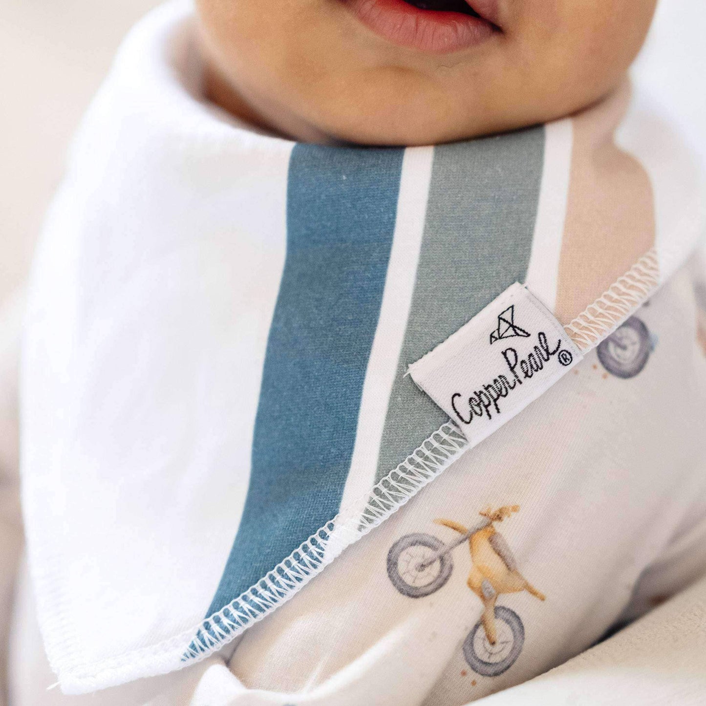 4 Bandana Bibs -Ryder