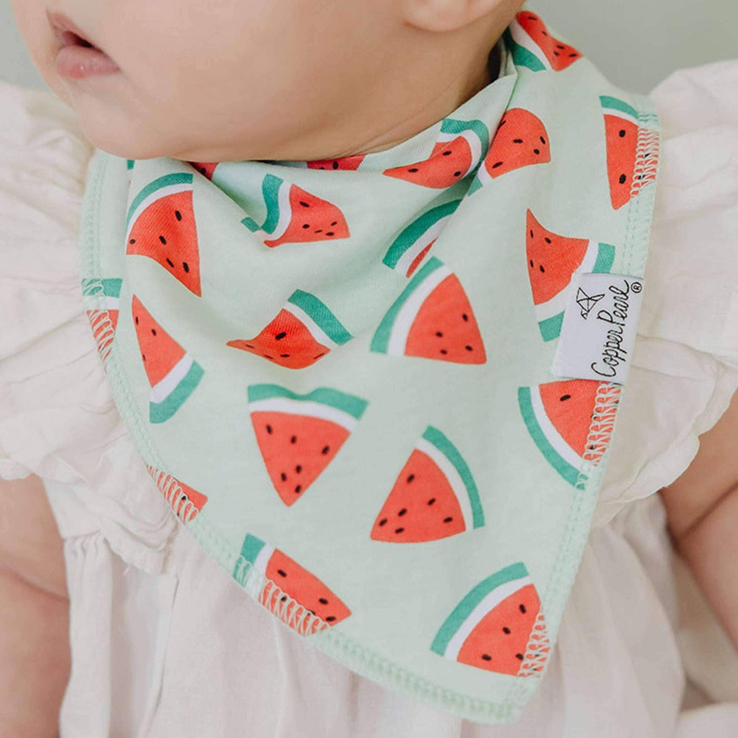 4 Bandana Bibs -Clementine