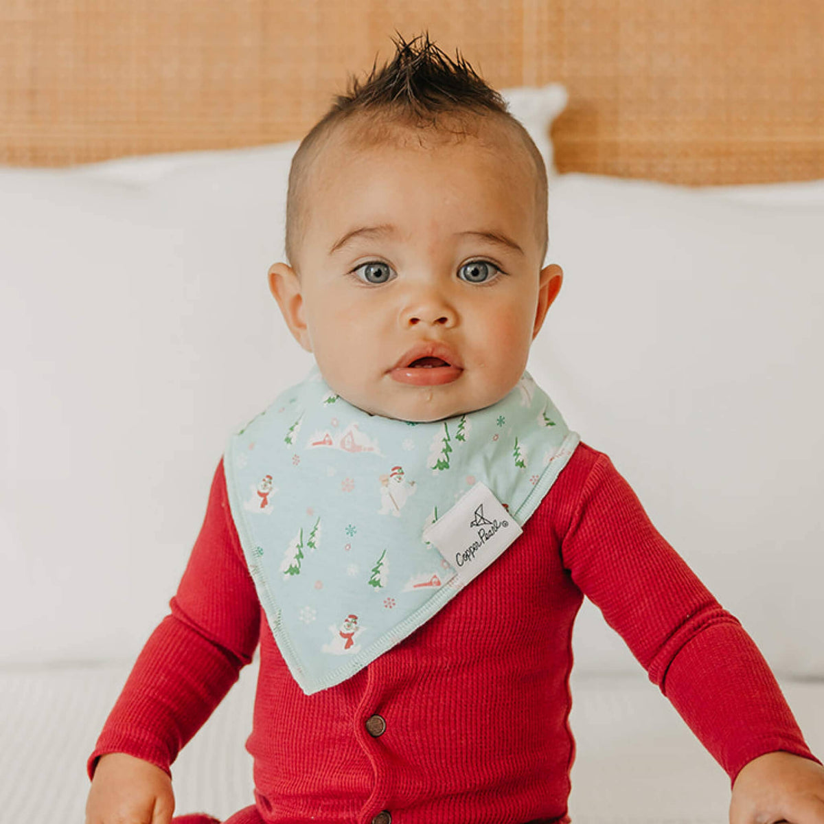 4 Bandana Bibs -Christmas Classics