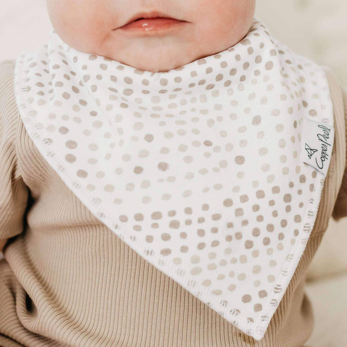4 Bandana Bibs -Bliss