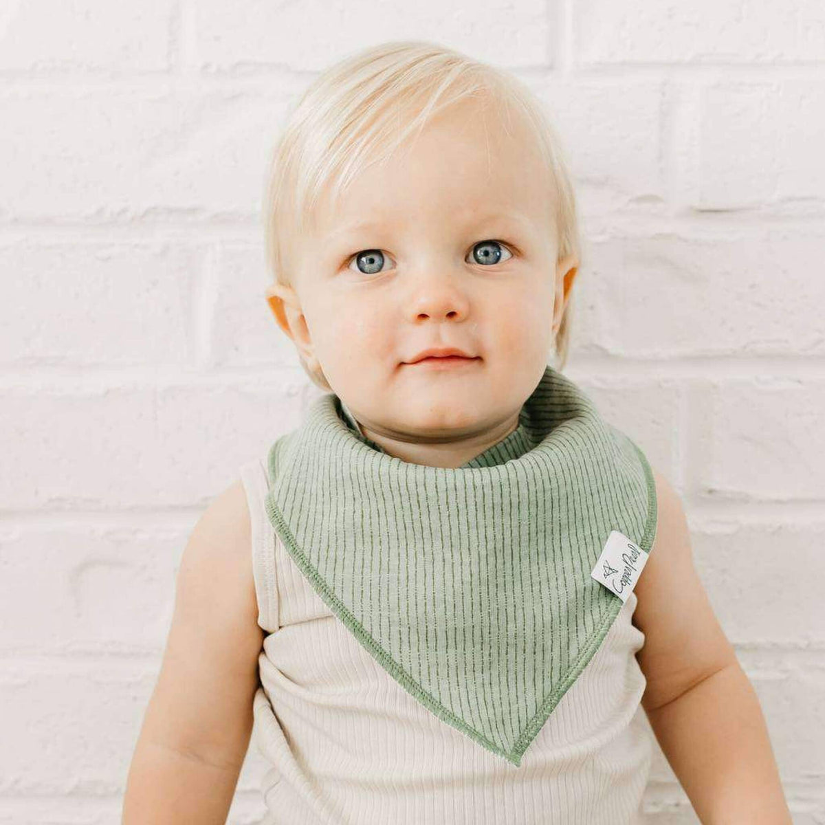 4 Bandana Bibs -Peanut
