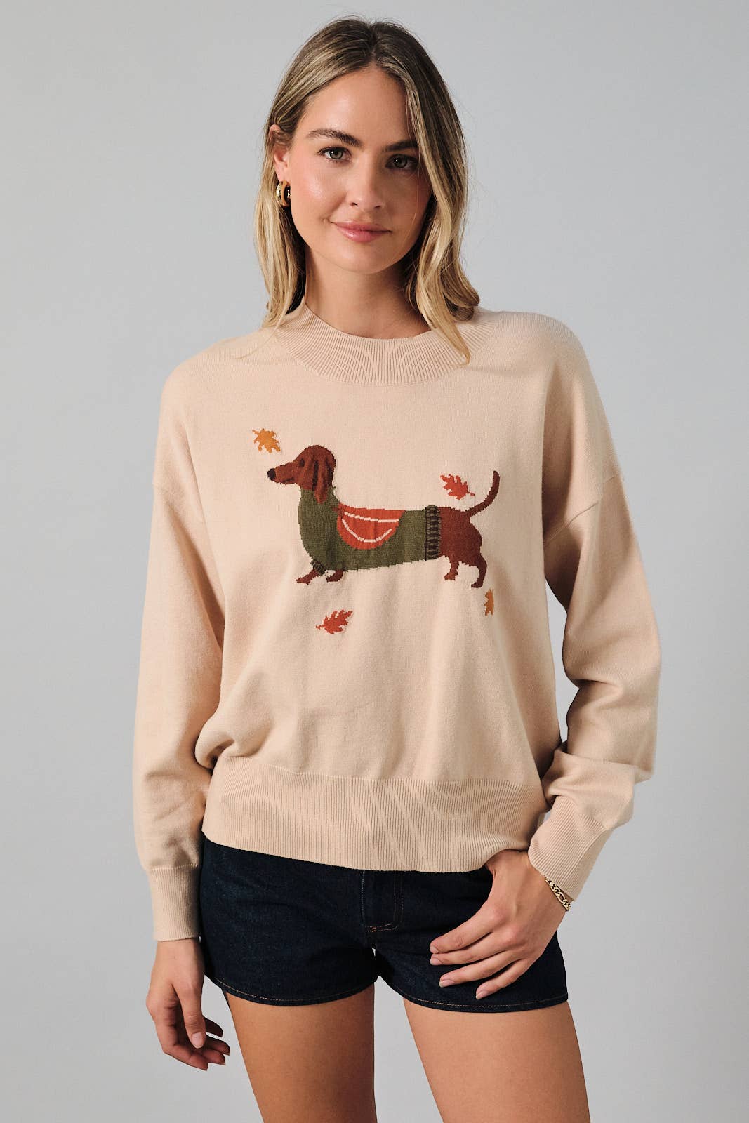 FALL DOG SWEATER