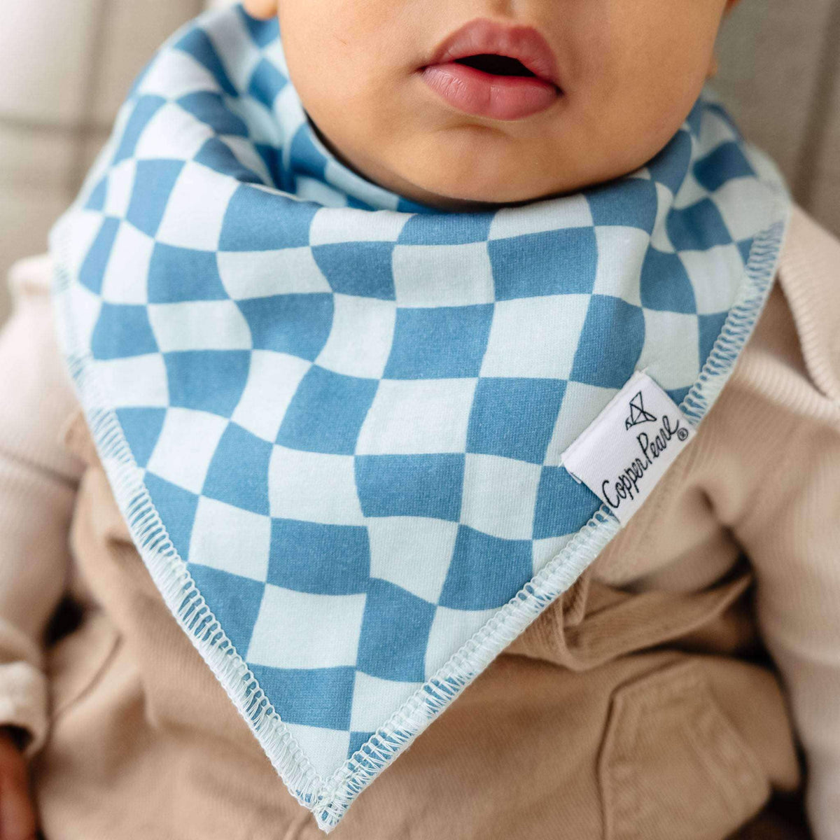 4 Bandana Bibs -Ryder