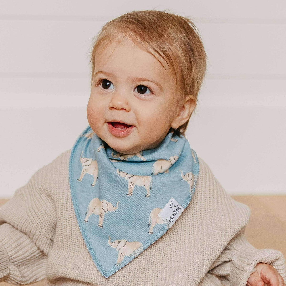4 Bandana Bibs -Peanut