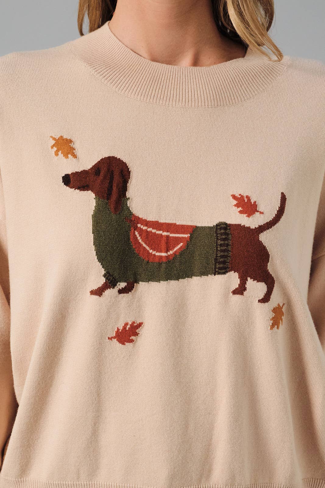 FALL DOG SWEATER