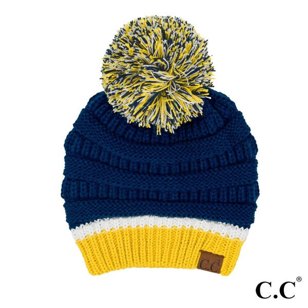 Team Colors Beanie