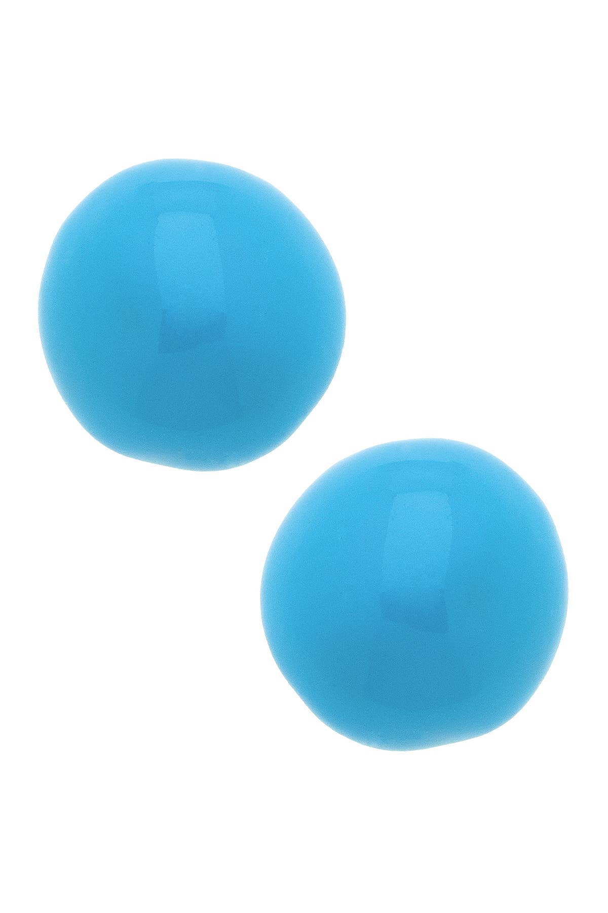Neiman Coated Stud Earrings