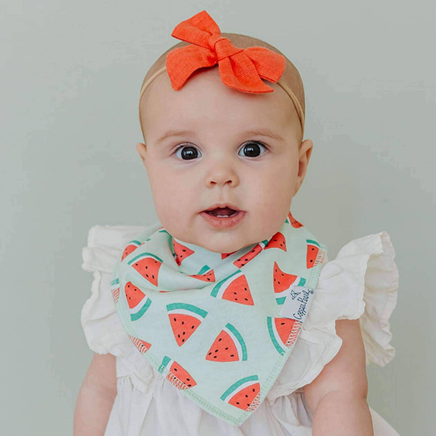 4 Bandana Bibs -Clementine