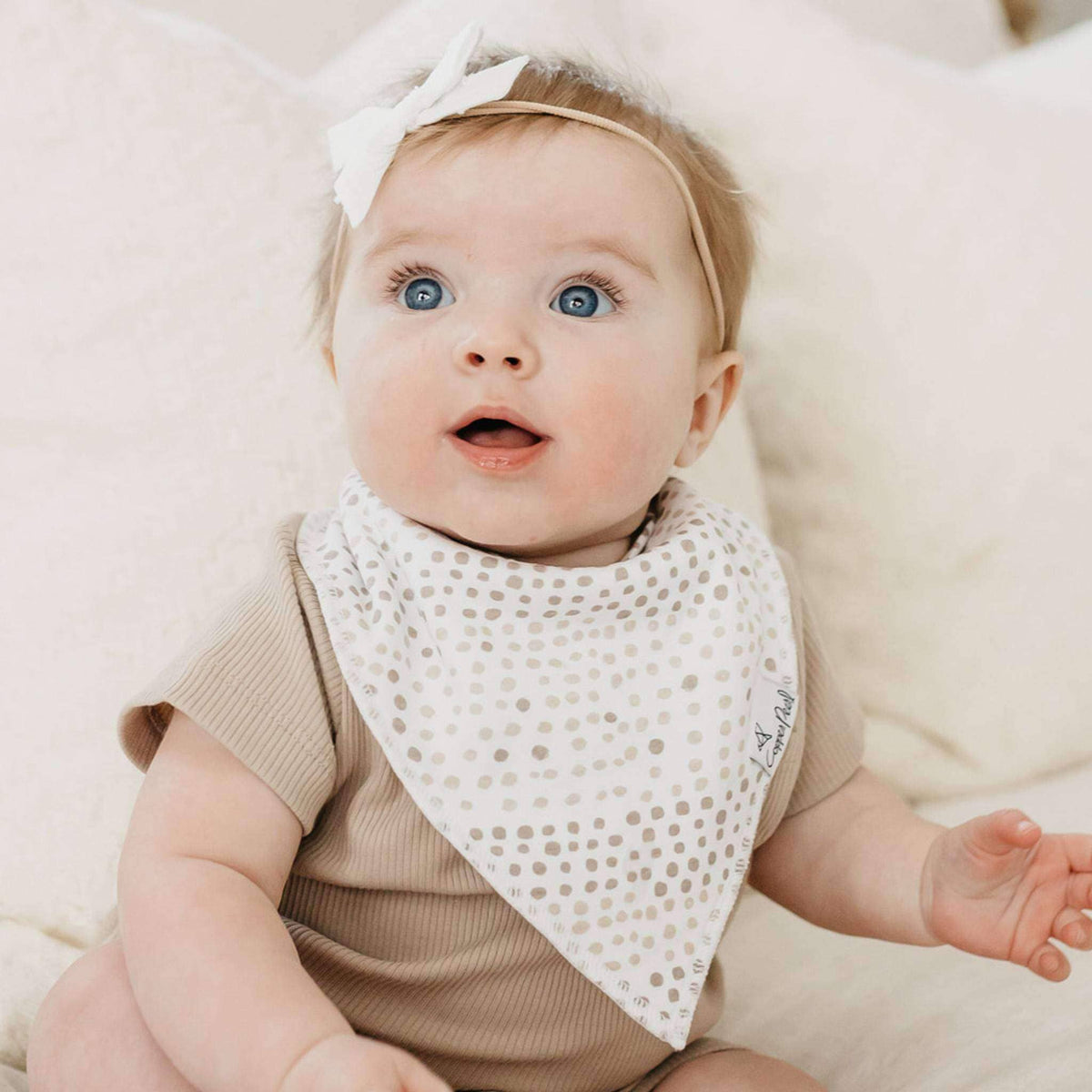 4 Bandana Bibs -Bliss