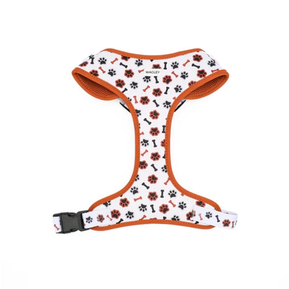 Dog Harness