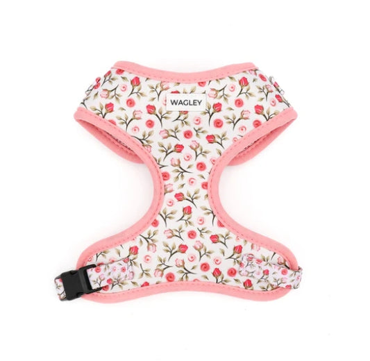 Dog Harness