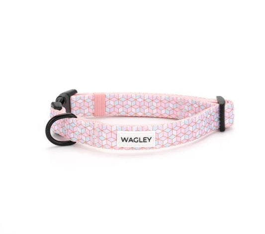 Adjustable Dog Collar