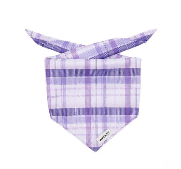Dog Bandana
