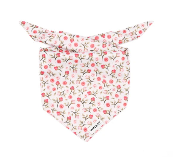 Dog Bandana