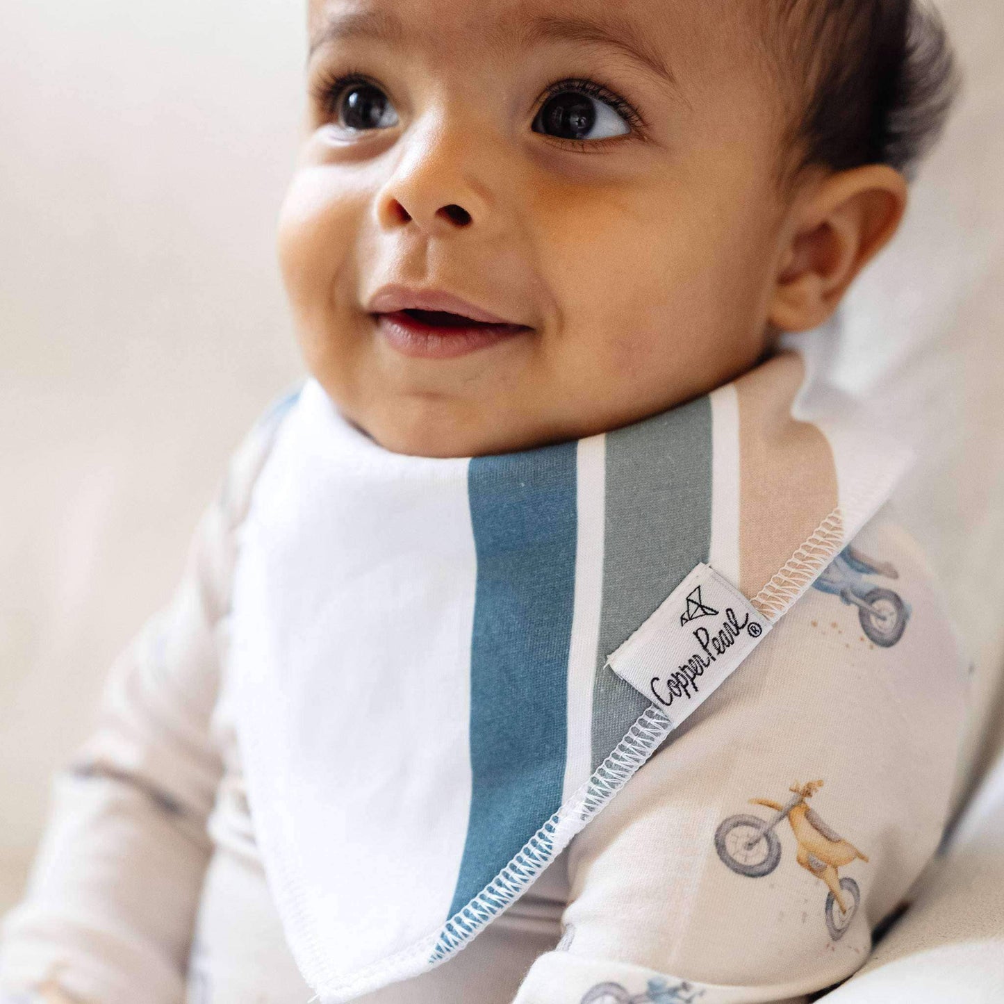 4 Bandana Bibs -Ryder