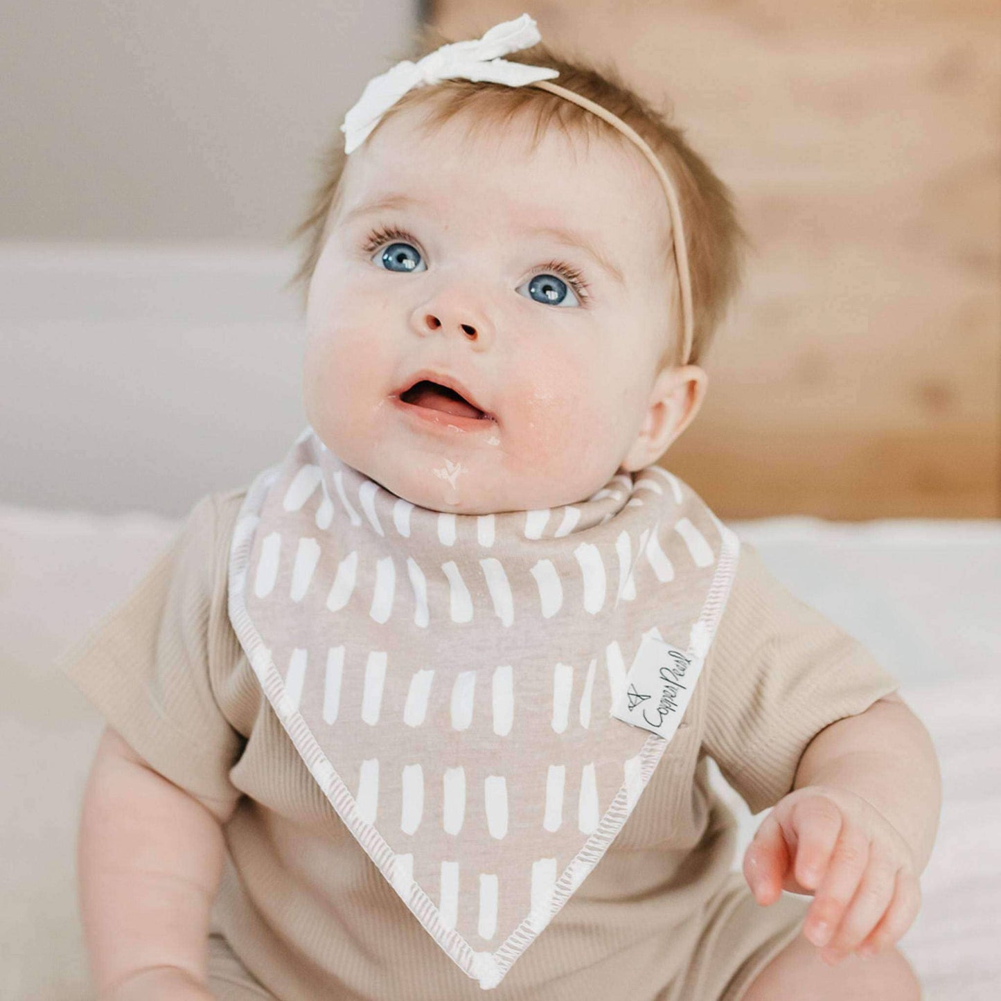 4 Bandana Bibs -Bliss