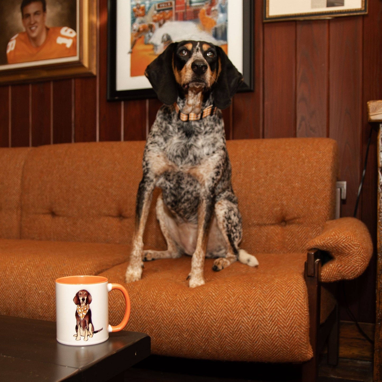 Tennessee Coffee Mug