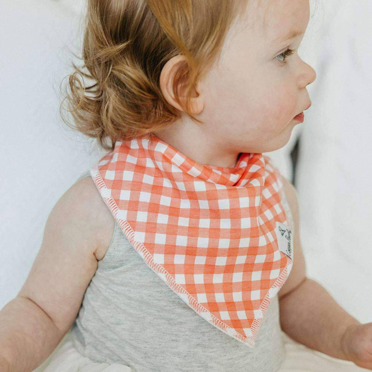 4 Bandana Bibs -Goosie