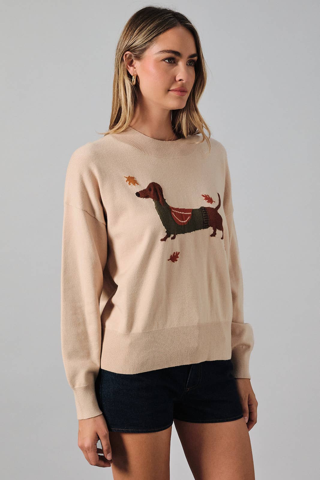FALL DOG SWEATER